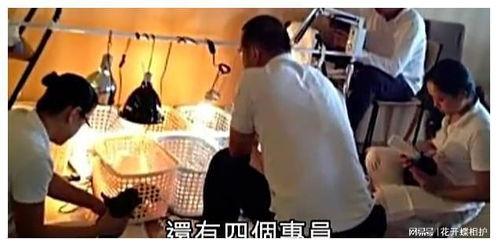 娱乐圈吃瓜的真实故事