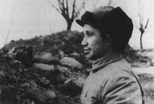 娱乐吃瓜酱陶勇,娱乐吃瓜酱背后的故事与传奇