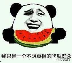 猪猪娱乐吃瓜,揭秘娱乐圈那些吃瓜背后的故事