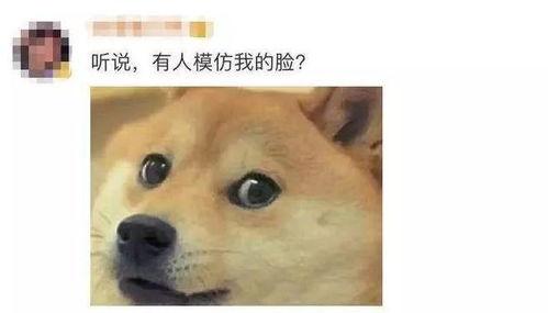 微信表情包吃瓜什么意思