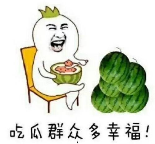 娱乐吃瓜橘子