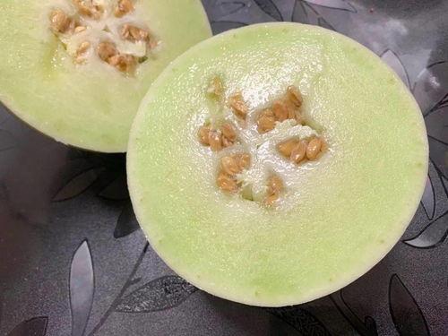 娱乐吃瓜酱雪糕视频大全,吃瓜酱雪糕视频大全盘点